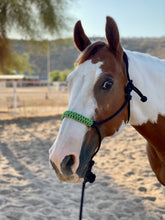 Load image into Gallery viewer, Rock’N Halter w/ Lead